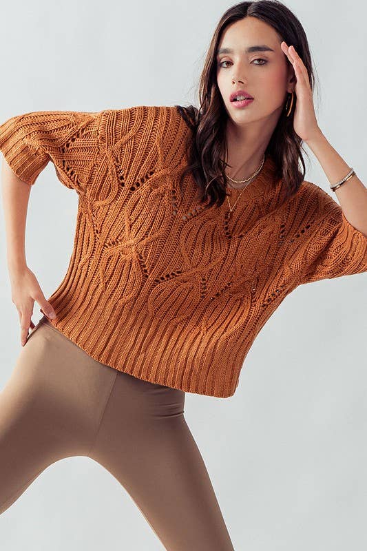 Knit Sweater Crochet Round Neck Short Sleeve Top