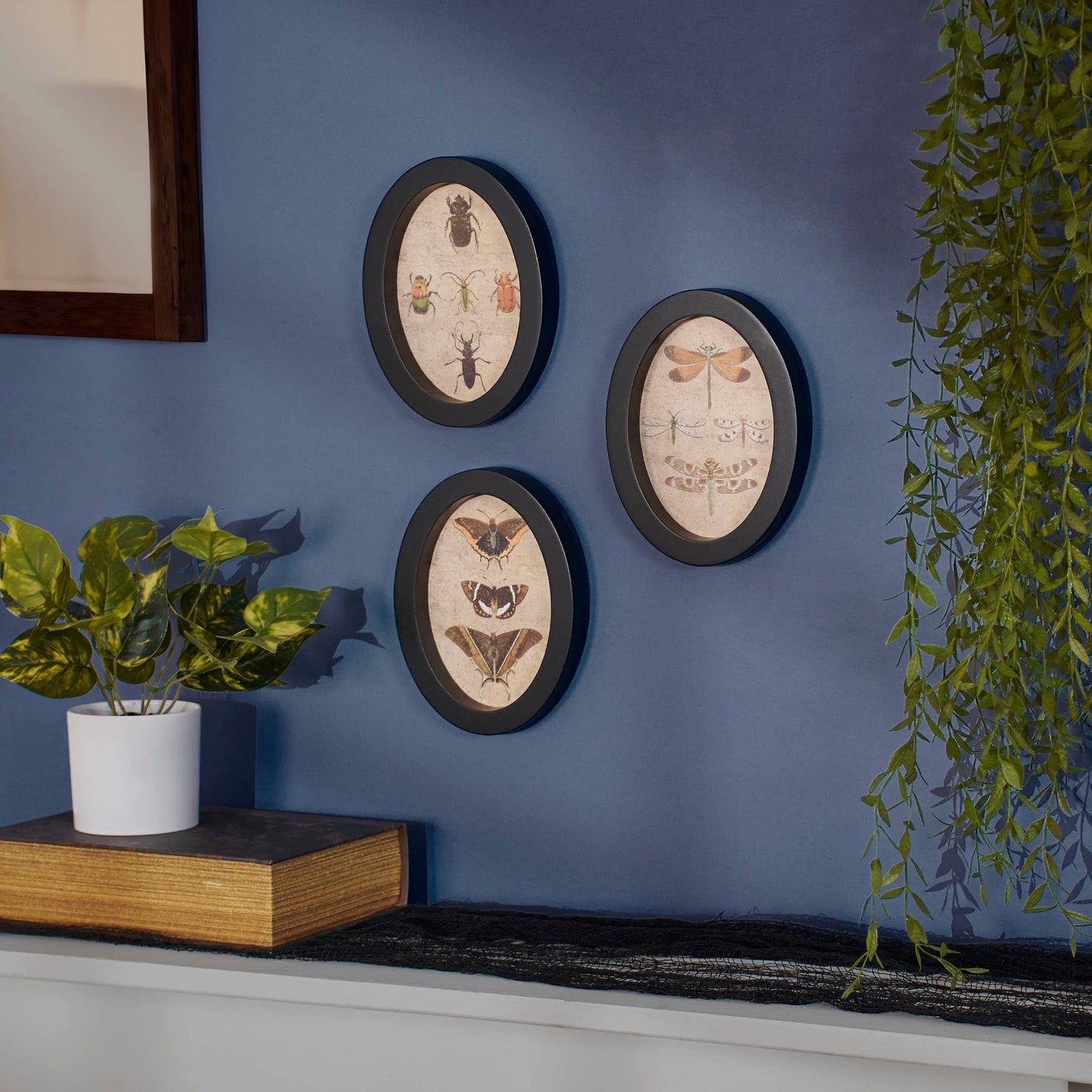 Insect Study Hanging Decor Set