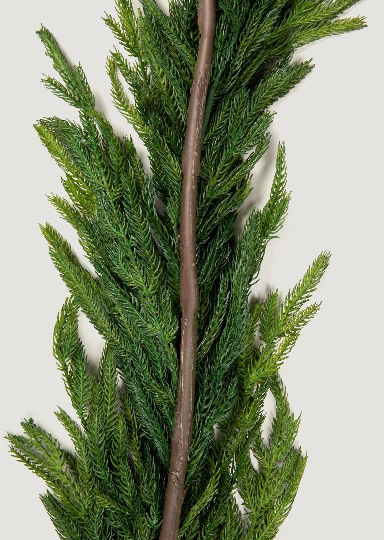 Real Touch Norfolk Pine Garland - 60"