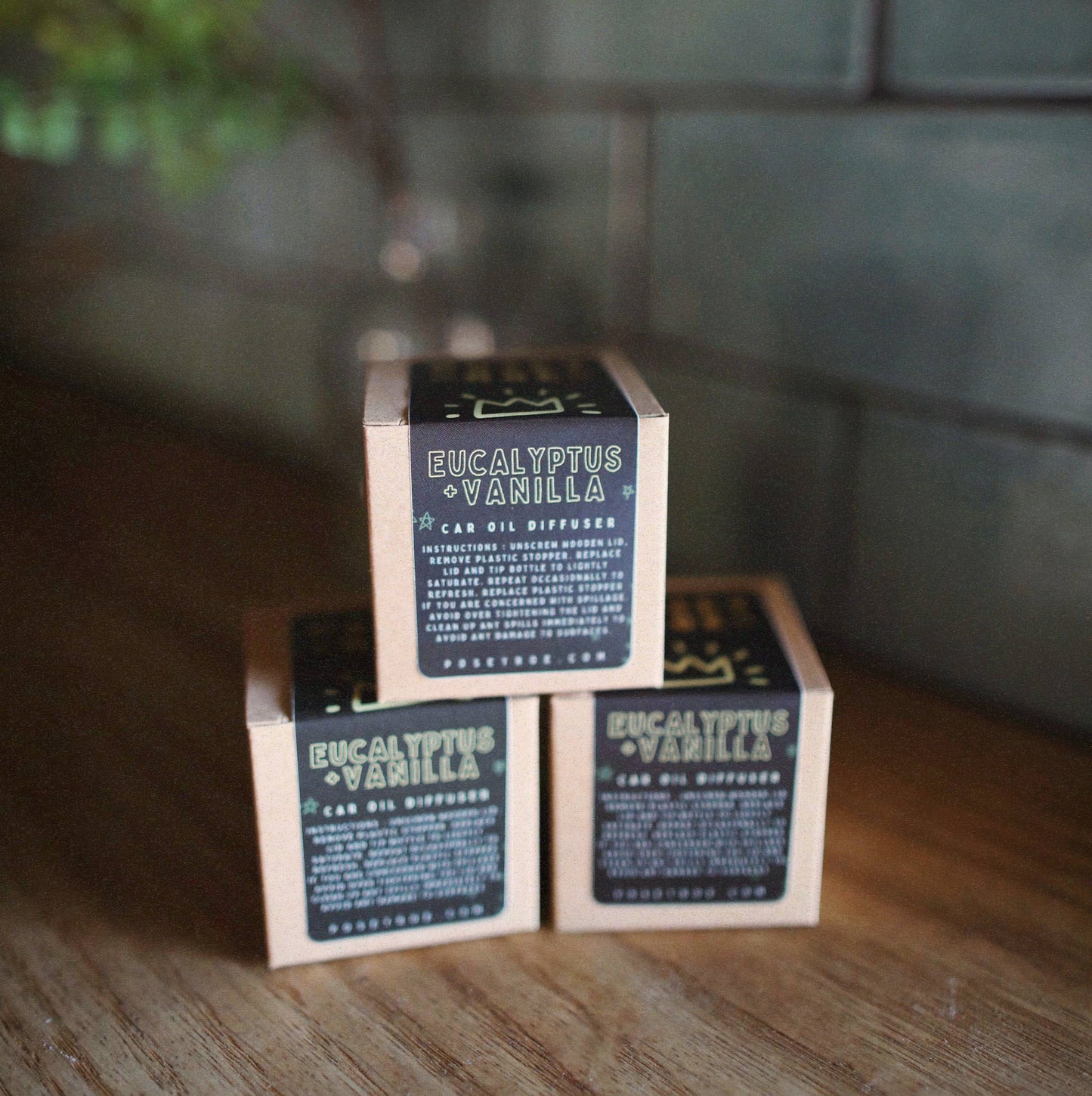Eucalyptus + Vanilla Scented Oil Car Diffuser