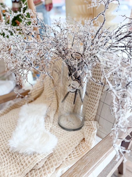 35" Snowy Twig Vine