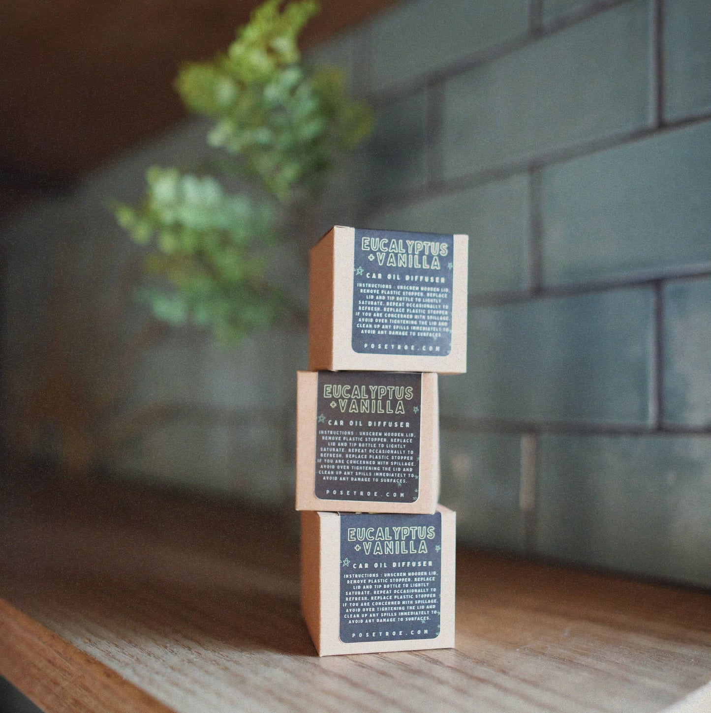 Eucalyptus + Vanilla Scented Oil Car Diffuser