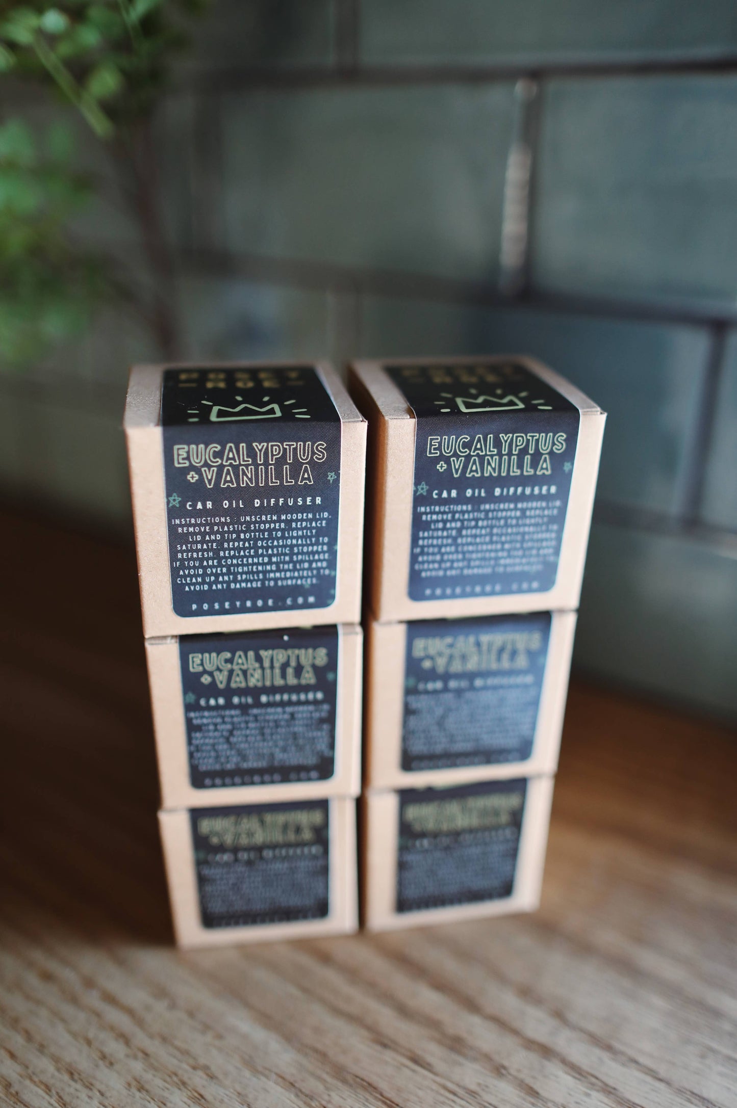 Eucalyptus + Vanilla Scented Oil Car Diffuser