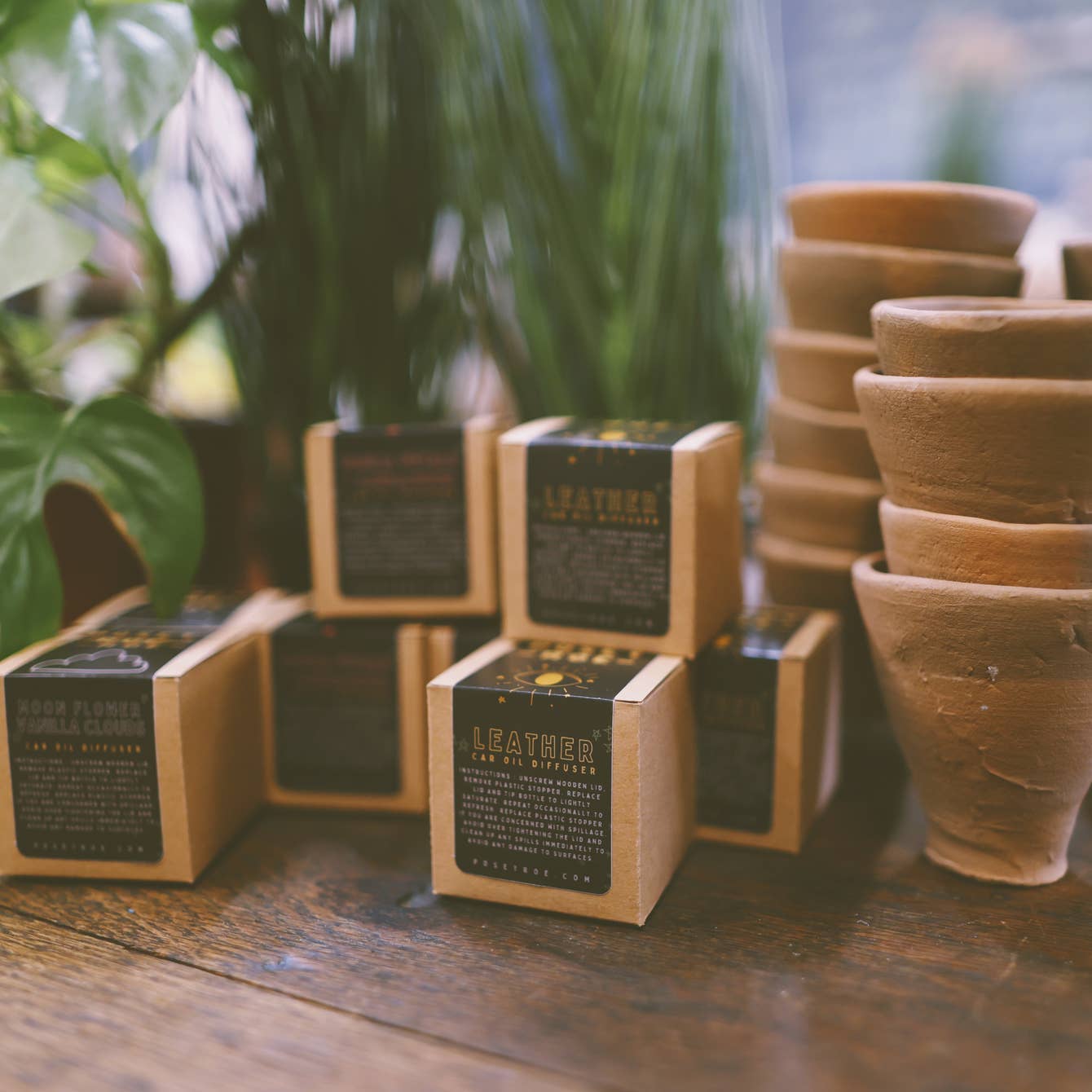 Eucalyptus + Vanilla Scented Oil Car Diffuser